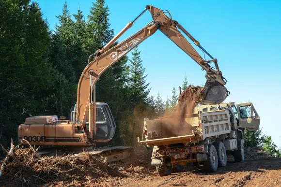 Casino Golden Crown Stuðningur